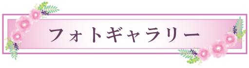 フォトギャラリー